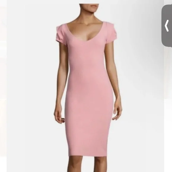 chiara boni la petite robe pink dress Chiara Boni La Petite Robe Cassandre Dress in Poudre, Size 38